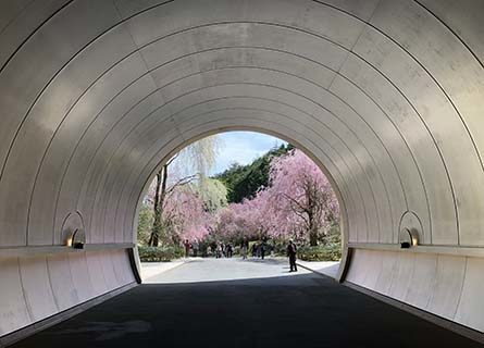 By Car  MIHO MUSEUM