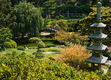 huntington garden